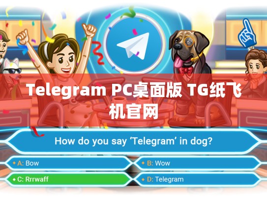 Telegram PC桌面版 TG纸飞机官网