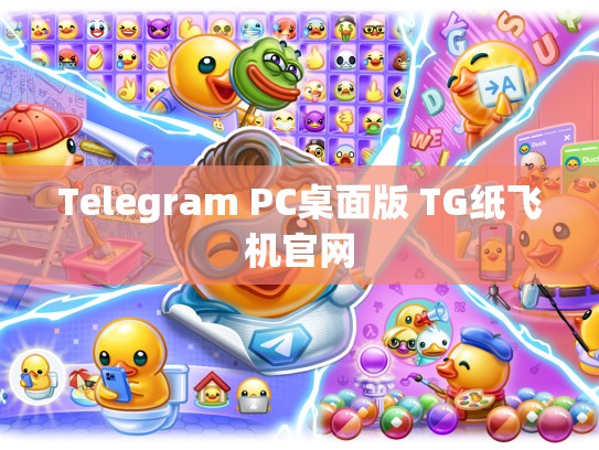 Telegram PC桌面版 TG纸飞机官网