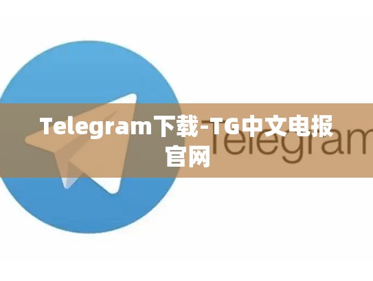 Telegram下载-TG中文电报官网