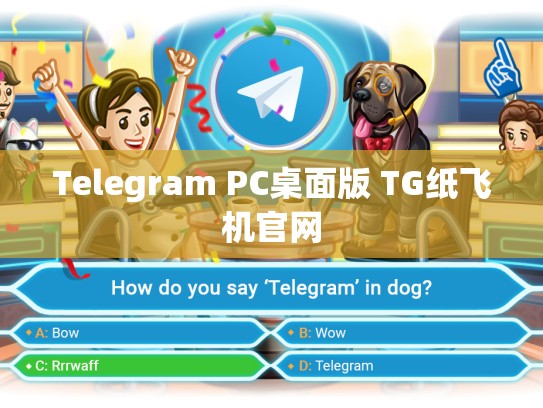 Telegram PC桌面版 TG纸飞机官网