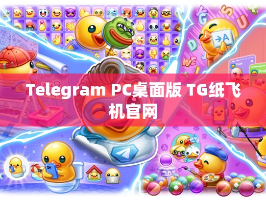 Telegram PC桌面版 TG纸飞机官网