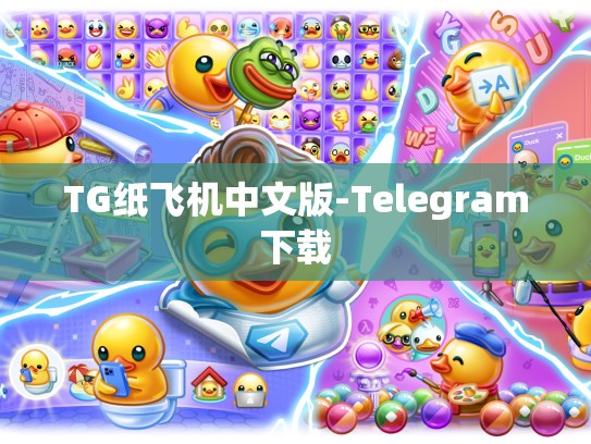 TG纸飞机中文版-Telegram下载