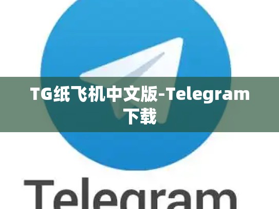 TG纸飞机中文版-Telegram下载