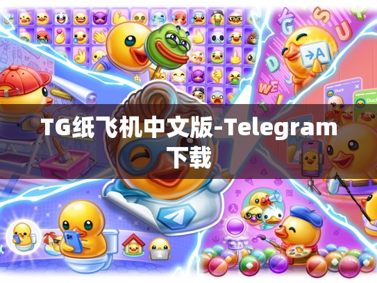 TG纸飞机中文版-Telegram下载