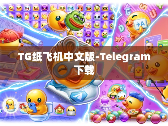 TG纸飞机中文版-Telegram下载