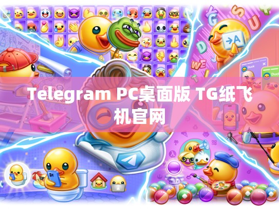 Telegram PC桌面版 TG纸飞机官网