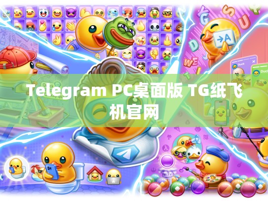 Telegram PC桌面版 TG纸飞机官网