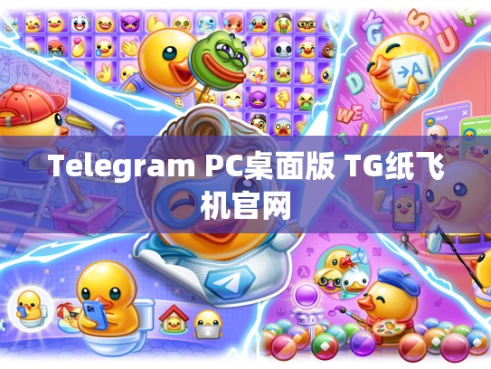 Telegram PC桌面版 TG纸飞机官网