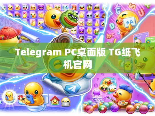 Telegram PC桌面版 TG纸飞机官网