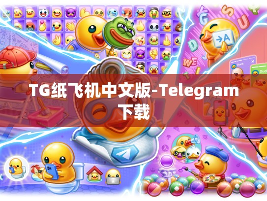 TG纸飞机中文版-Telegram下载
