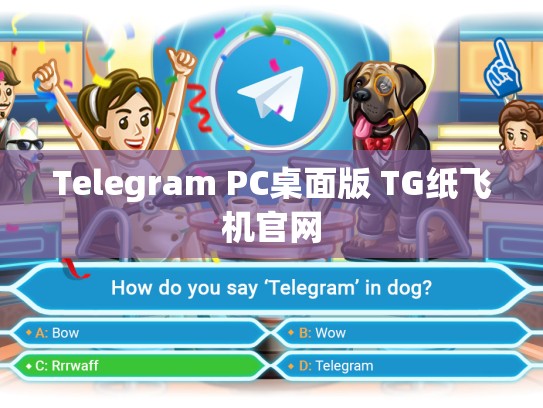 Telegram PC桌面版 TG纸飞机官网
