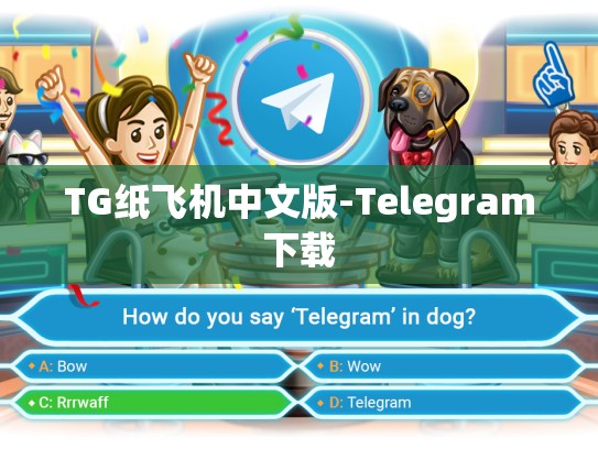 TG纸飞机中文版-Telegram下载