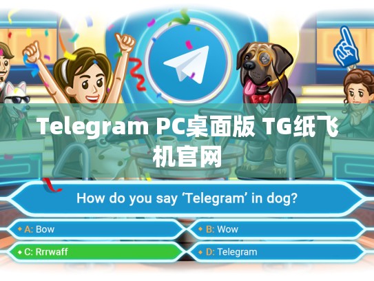 Telegram PC桌面版 TG纸飞机官网