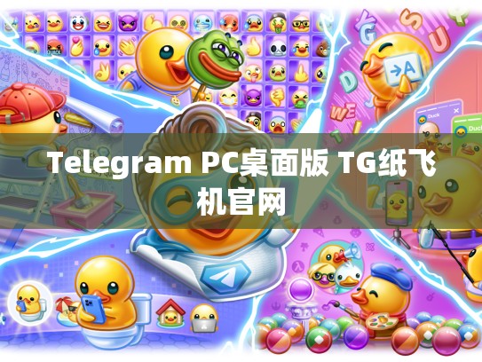 Telegram PC桌面版 TG纸飞机官网