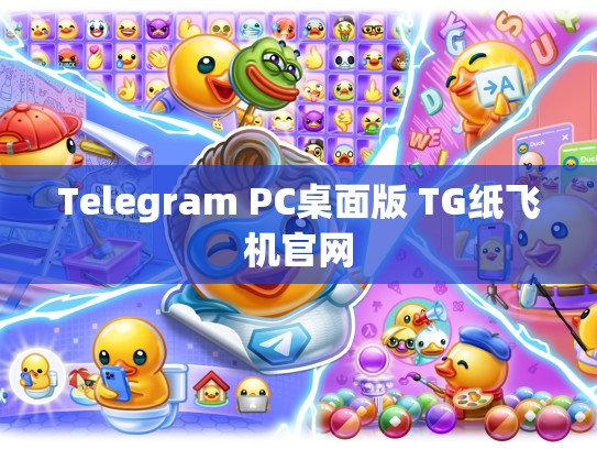 Telegram PC桌面版 TG纸飞机官网