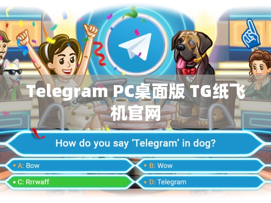 Telegram PC桌面版 TG纸飞机官网