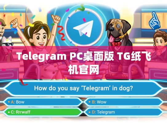 Telegram PC桌面版 TG纸飞机官网