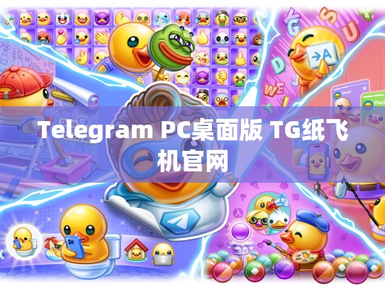 Telegram PC桌面版 TG纸飞机官网