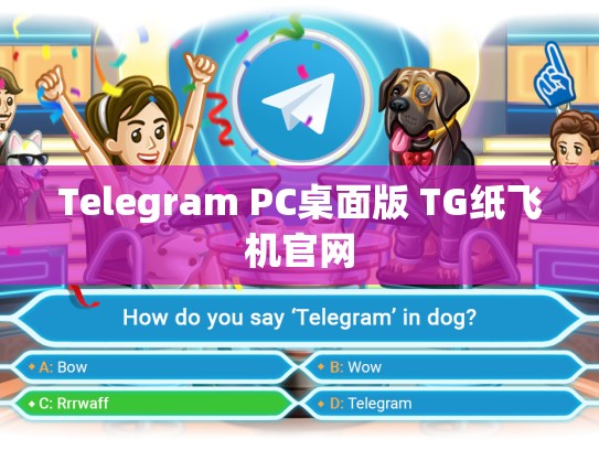 Telegram PC桌面版 TG纸飞机官网