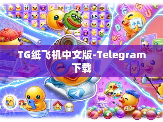 TG纸飞机中文版-Telegram下载
