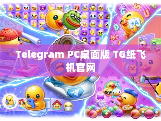 Telegram PC桌面版 TG纸飞机官网
