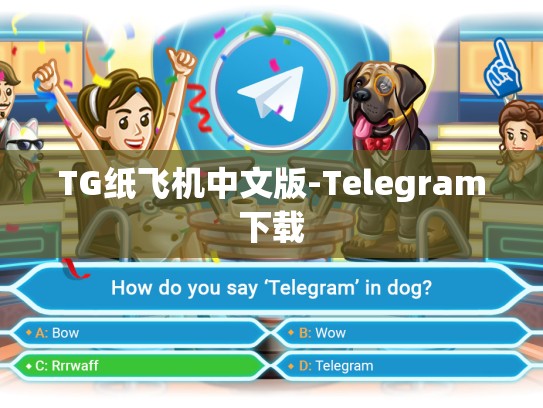 TG纸飞机中文版-Telegram下载