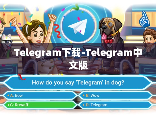 Telegram下载-Telegram中文版