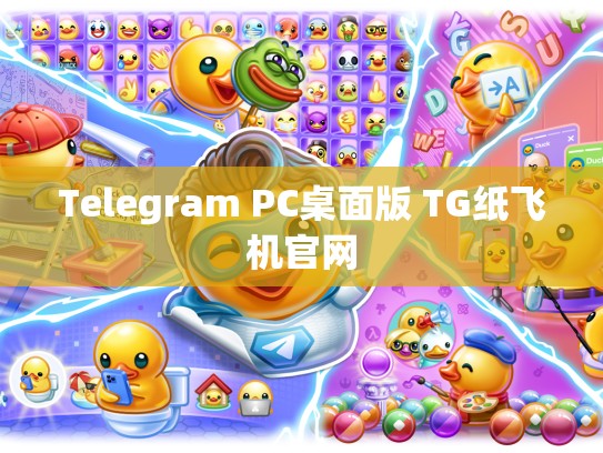 Telegram PC桌面版 TG纸飞机官网