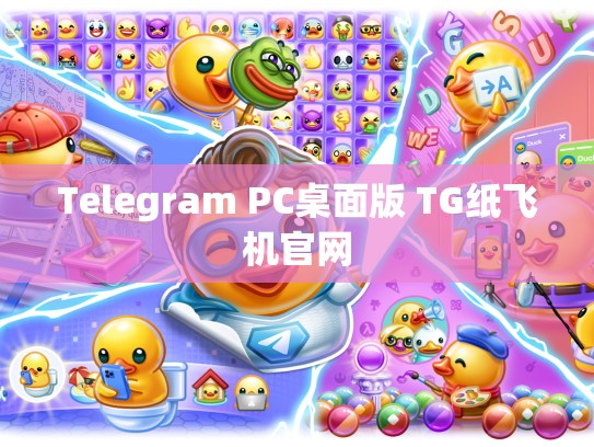 Telegram PC桌面版 TG纸飞机官网