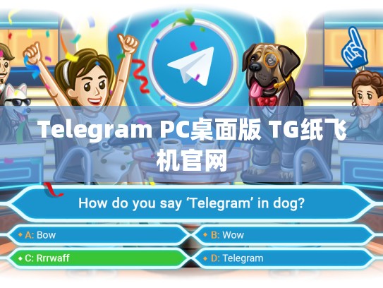 Telegram PC桌面版 TG纸飞机官网