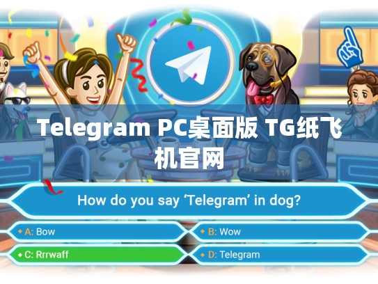Telegram PC桌面版 TG纸飞机官网