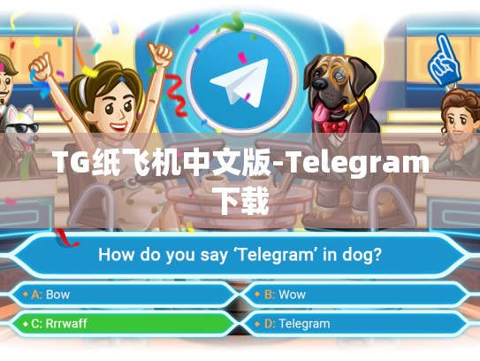 TG纸飞机中文版-Telegram下载