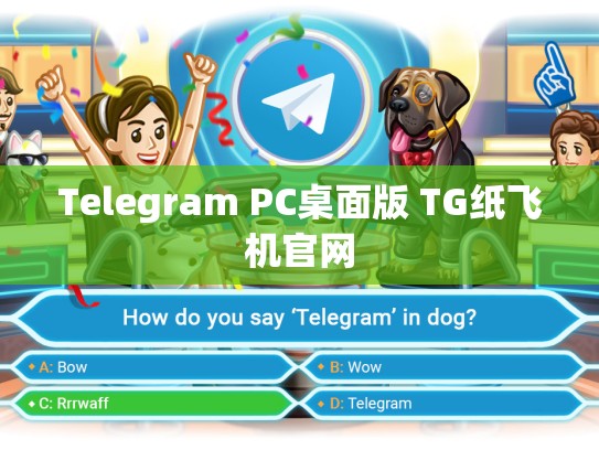 Telegram PC桌面版 TG纸飞机官网