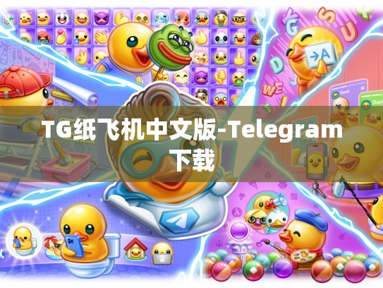 TG纸飞机中文版-Telegram下载
