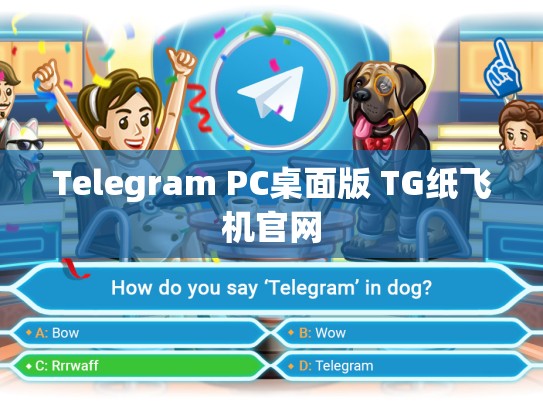 Telegram PC桌面版 TG纸飞机官网