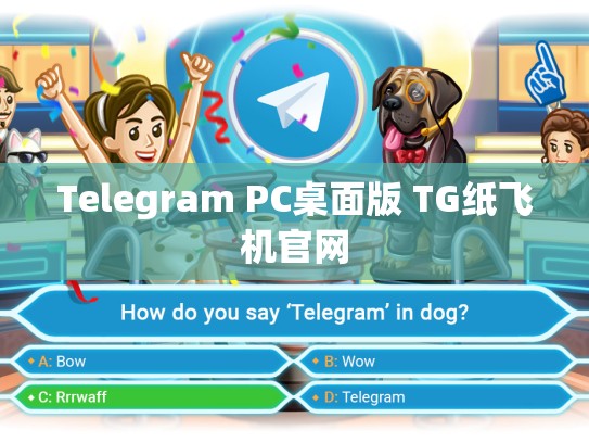 Telegram PC桌面版 TG纸飞机官网