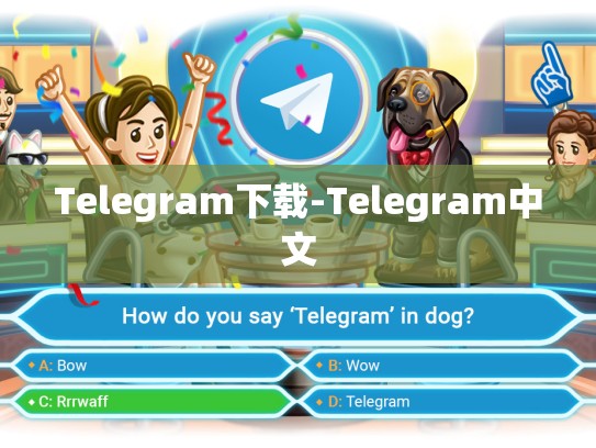 Telegram下载-Telegram中文