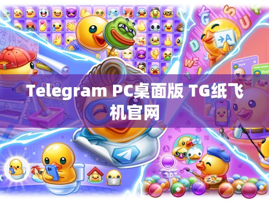 Telegram PC桌面版 TG纸飞机官网