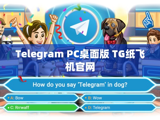 Telegram PC桌面版 TG纸飞机官网