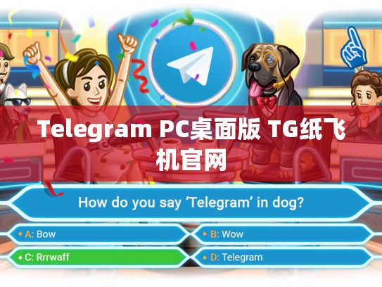 Telegram PC桌面版 TG纸飞机官网
