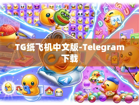 TG纸飞机中文版-Telegram下载