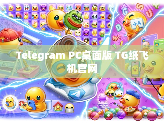 Telegram PC桌面版 TG纸飞机官网