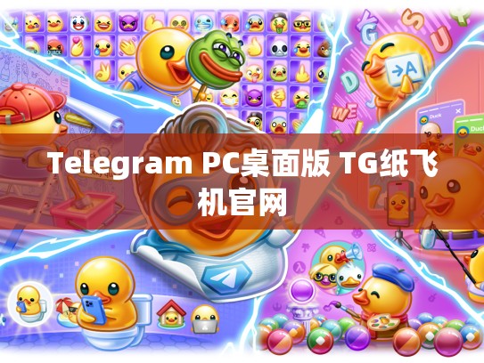 Telegram PC桌面版 TG纸飞机官网