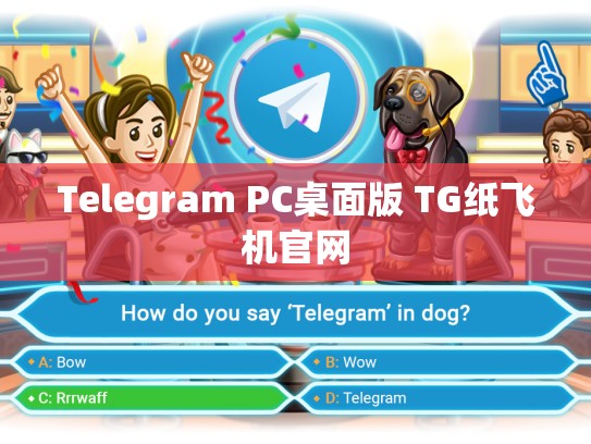 Telegram PC桌面版 TG纸飞机官网