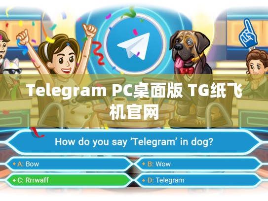Telegram PC桌面版 TG纸飞机官网