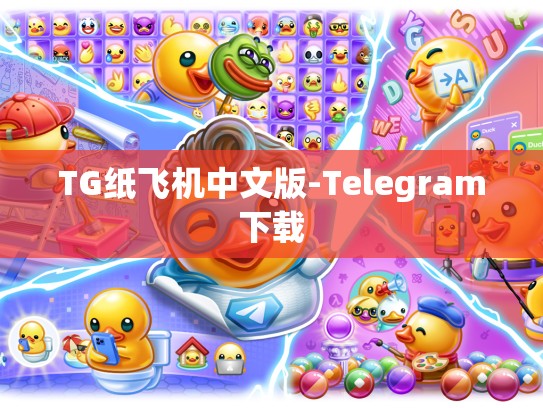 TG纸飞机中文版-Telegram下载