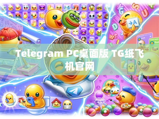 Telegram PC桌面版 TG纸飞机官网