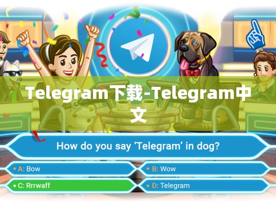 Telegram下载-Telegram中文