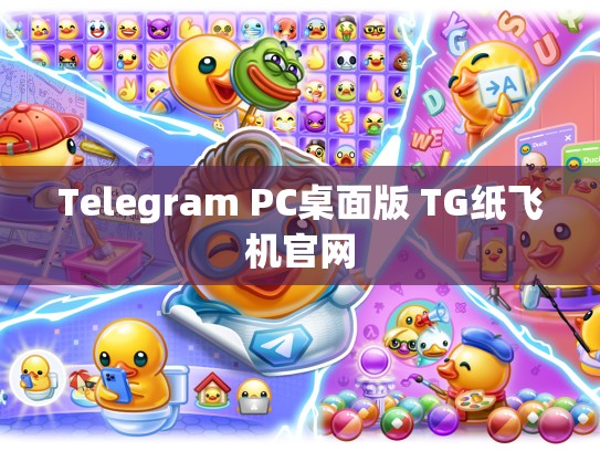Telegram PC桌面版 TG纸飞机官网
