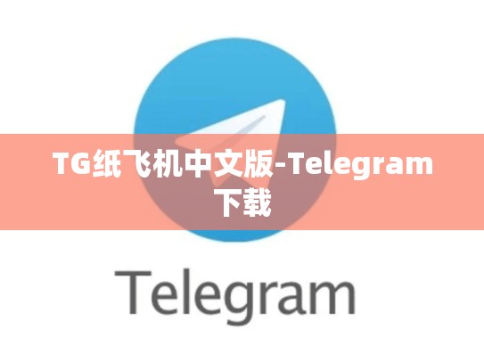 TG纸飞机中文版-Telegram下载